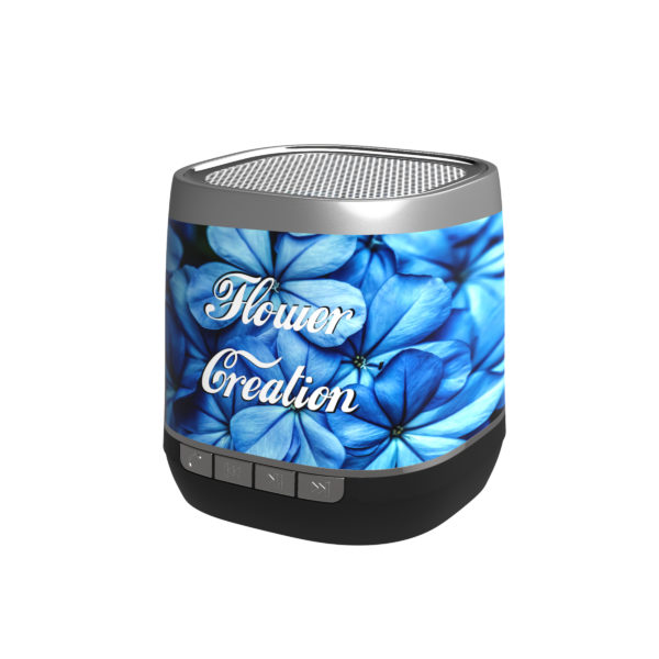 Retro Speaker Volfarbdruck silber