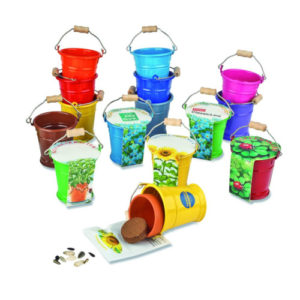 Bunte Metalleimer voller Wachstum