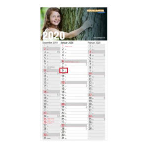 Einblattmonatskalender 3 Monate Spectrum Bestseller