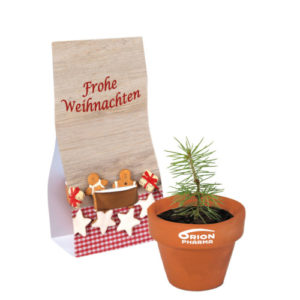 Töpfchen Fichtensamen mit Ihrem Logo