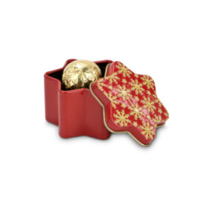 Weihnachtsstern