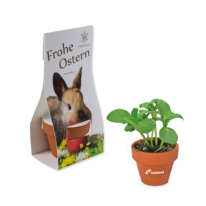 Ton Töpfchen mit Pflanzensamen