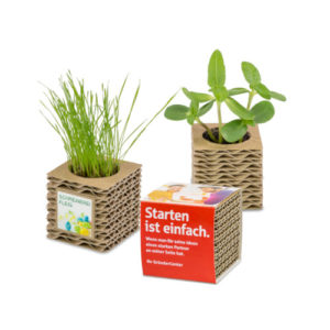 Wellkarton Pflanzenwürfel Mini