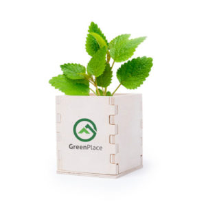 Blumentopf Merin mit Minzsamen