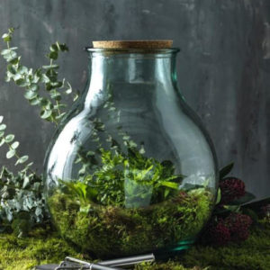 Flaschengarten aus recyceltem Glas