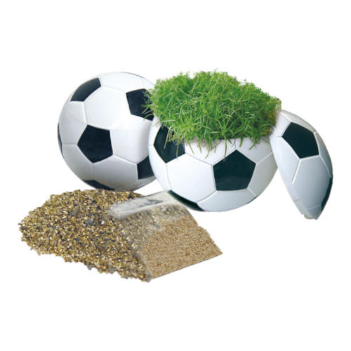 Fussball mit Rasen Samen