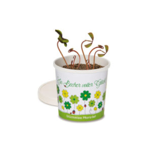 Glücksklee im Becher