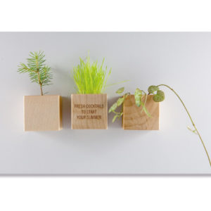 Holzwürfel Magnet Pflanzensamen