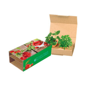 Naschgemüse Werbegeschenk