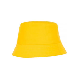 Sonnenhut Solaris gelb