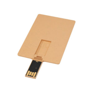 USB Stick Kreditkarte Eco