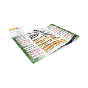 WM - Spielplan im Scheckkarten Format