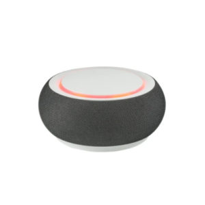 Wireless Lautsprecher und Charger REEVES DOTHAN