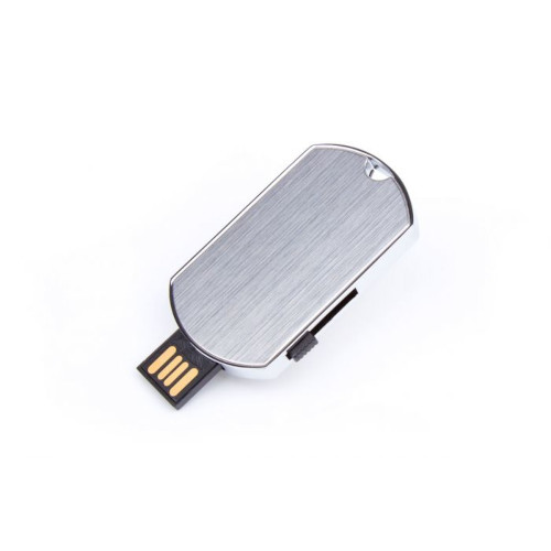 USB Stick Hundemarke